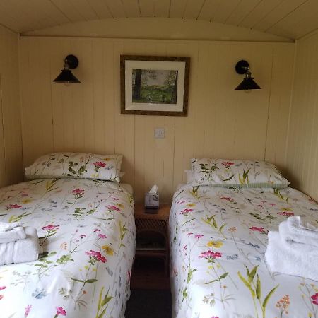 Вилла Rhydydefaid Cwt Clyd - Cosy Hut Бэйла Экстерьер фото