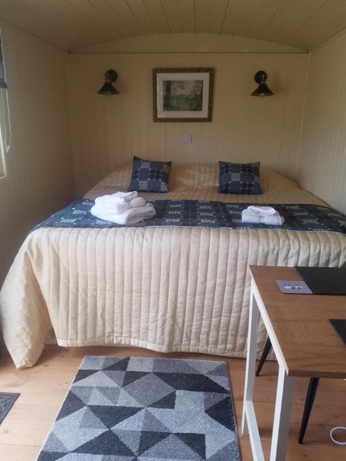 Вилла Rhydydefaid Cwt Clyd - Cosy Hut Бэйла Экстерьер фото