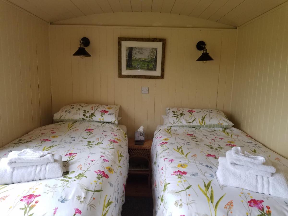 Вилла Rhydydefaid Cwt Clyd - Cosy Hut Бэйла Экстерьер фото